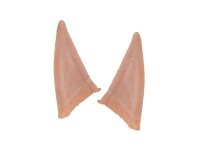 43191_oreilles_elf_large