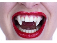 f7344a_ed179bd2ccaa49ef8e718a218