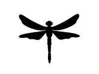 gsb17-s165_dragonfly