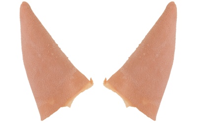 43191_oreilles_elfe_large_back