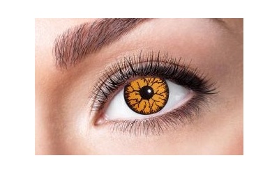 84092041_m45_orange_monster