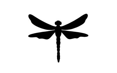 gsb17-s165_dragonfly