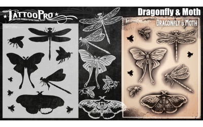 series_7_183_dragomfly_moth_1024